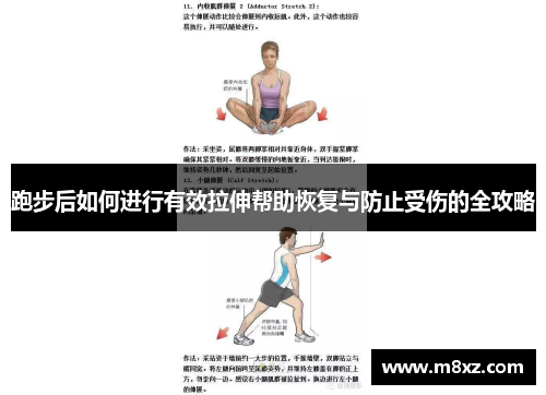 跑步后如何进行有效拉伸帮助恢复与防止受伤的全攻略